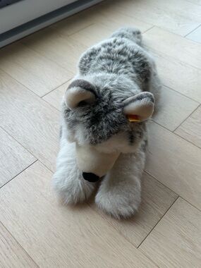 Plush Husky Stuffed Animal Steiff American Kennel Club